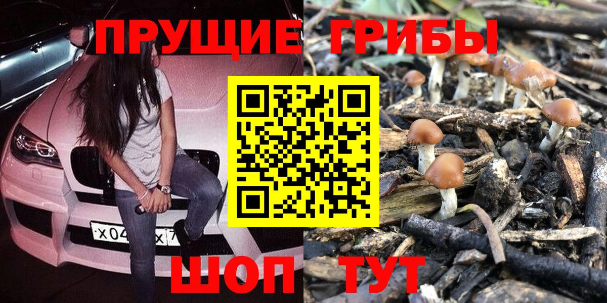 Галлюциногенные грибы MAGIC MUSHROOMS  Галлюциногенные грибы MAGIC MUSHROOMS  Вход с VPN  Кашира 